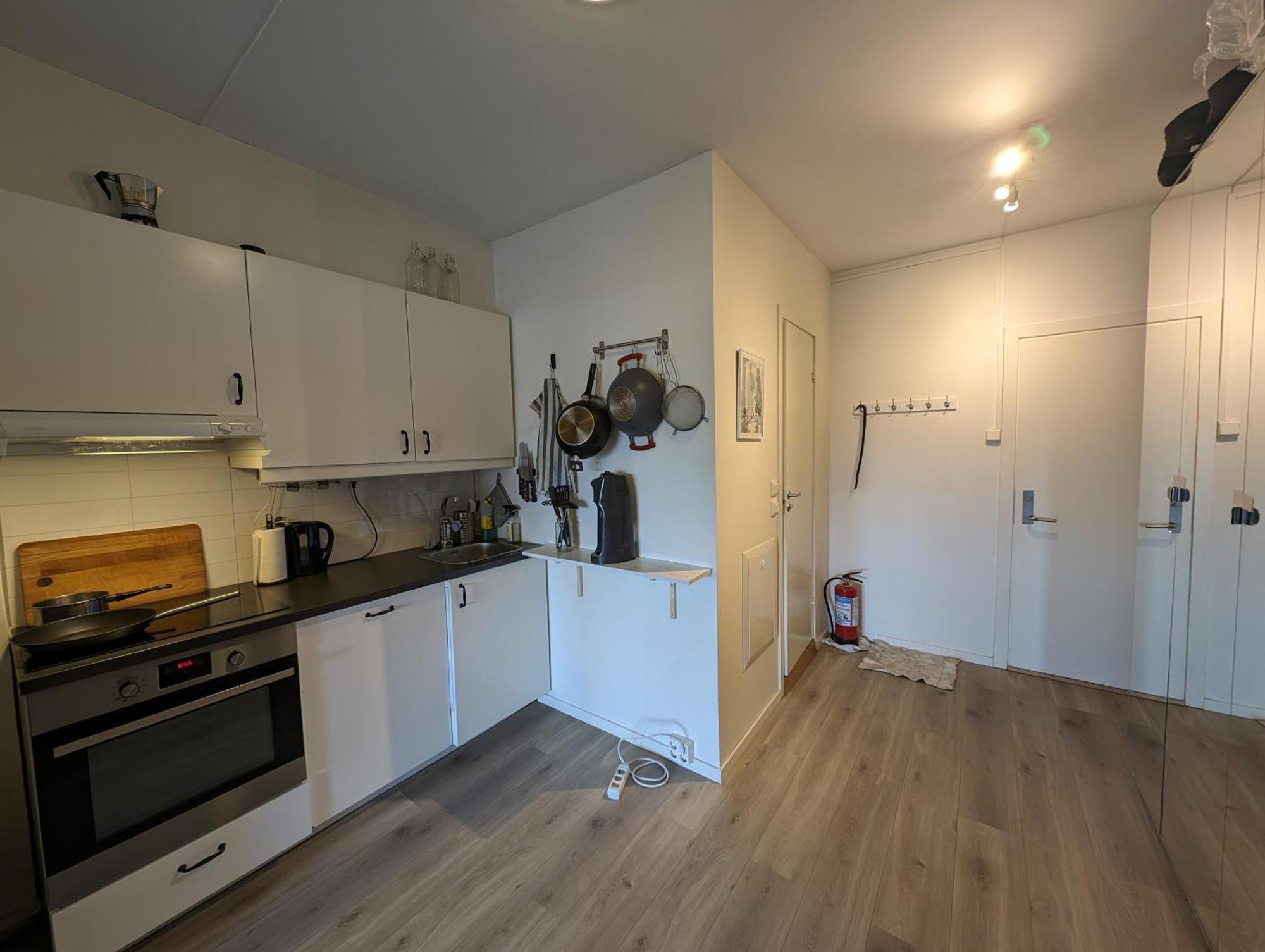 Spacious And Cozy Study Apartment With Balcony Oslo Exteriör bild