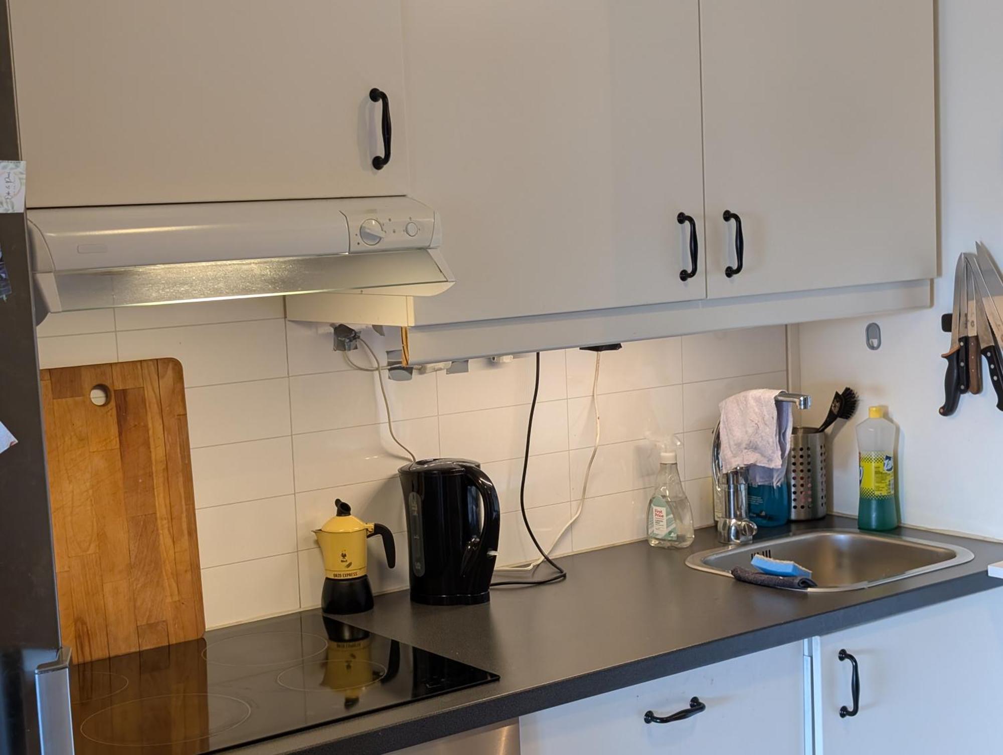 Spacious And Cozy Study Apartment With Balcony Oslo Exteriör bild